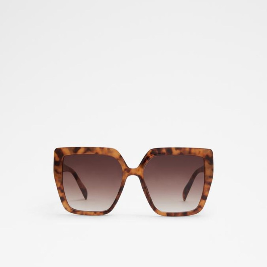 Women ALDO Sunglasses | Hogdish Sunglasses Other Brown