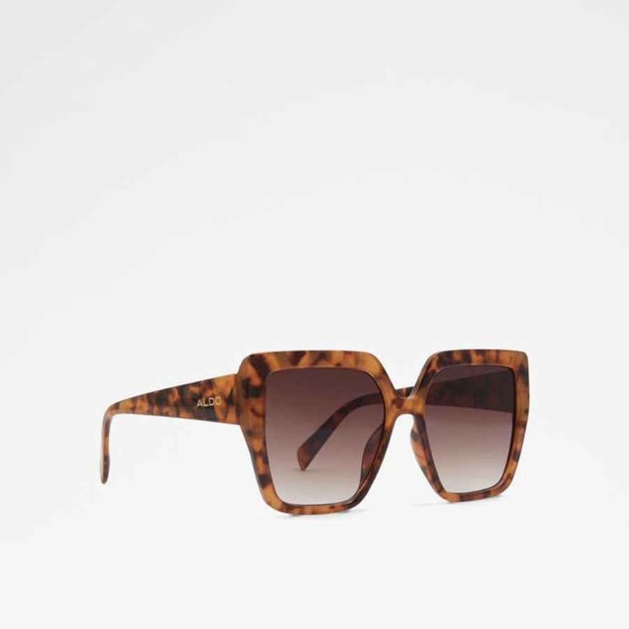 Women ALDO Sunglasses | Hogdish Sunglasses Other Brown