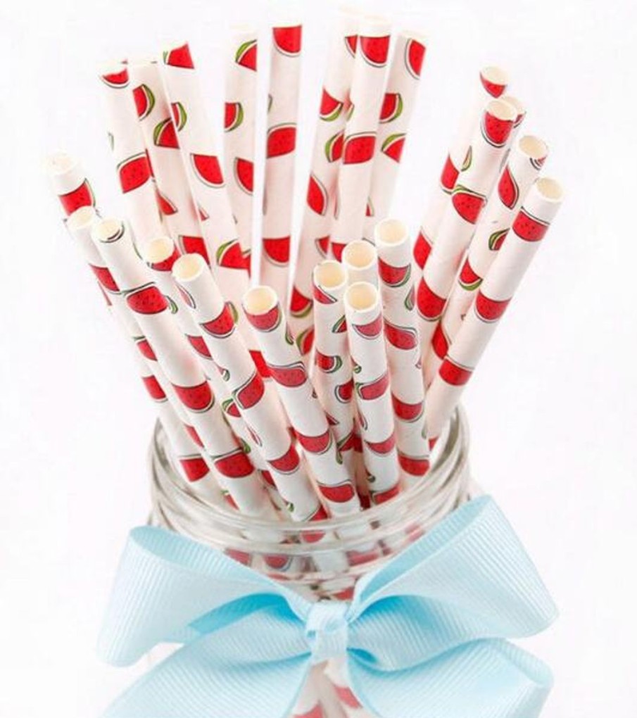 Pool Fun The Beach Company | Watermelon Paper Straws (Pack Of 25)